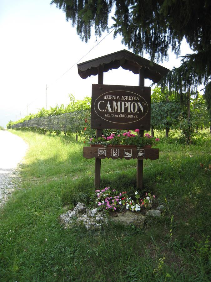 Azienda Agricola Campion Valdobbiadene Dış mekan fotoğraf