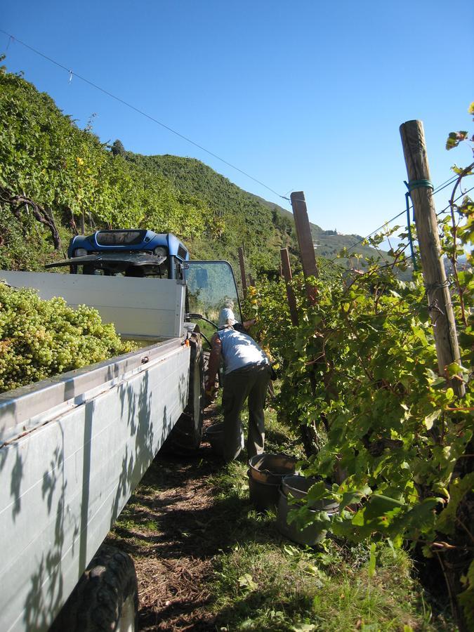 Azienda Agricola Campion Valdobbiadene Dış mekan fotoğraf