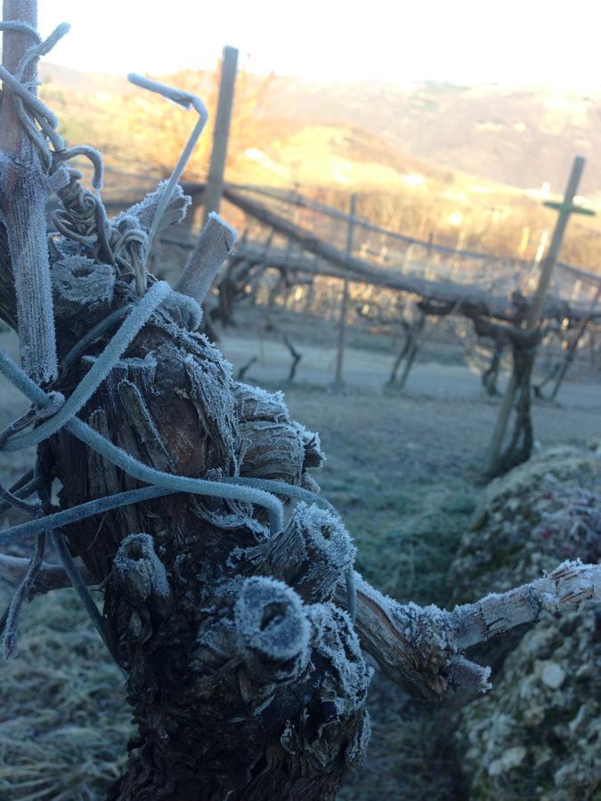 Azienda Agricola Campion Valdobbiadene Dış mekan fotoğraf